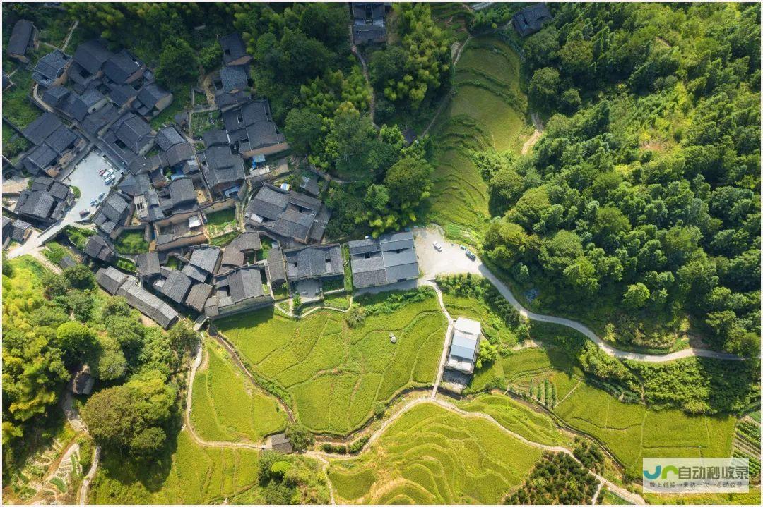屏南网：探寻屏南魅力，解读屏南故事