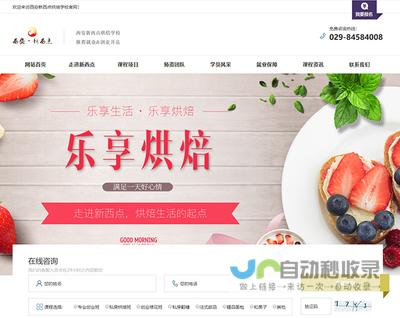 西安网站推广策略：从精准定位到高效转化，助您在网络时代脱颖而出