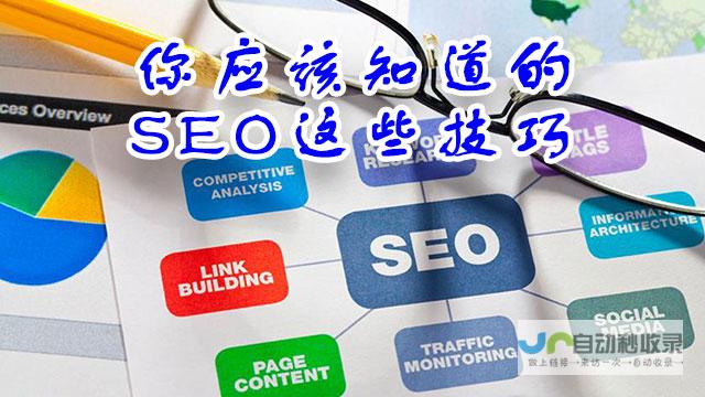 深圳网站优化服务商对比：如何选择最合适的合作伙伴提升网站业绩？