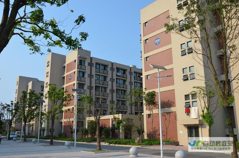 宁波专业网站建设团队，从品牌形象到用户体验，全方位提升您的在线业务