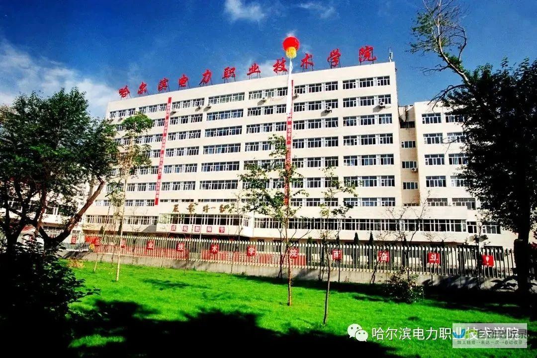 哈尔滨专业网站设计与开发：提升企业形象，拓展线上业务，助力哈尔滨经济发展！