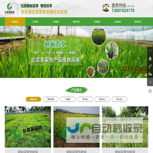 北京长青藤园林绿化工程有限公司
